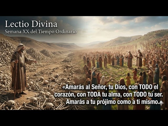 Lectio Divina - Friday of the Twentieth Week in Ordinary Time