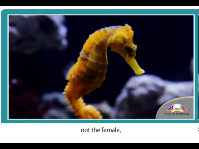 11 ASPECT  Module 2  Video 6  Unique Underwater Creatures  SB p33