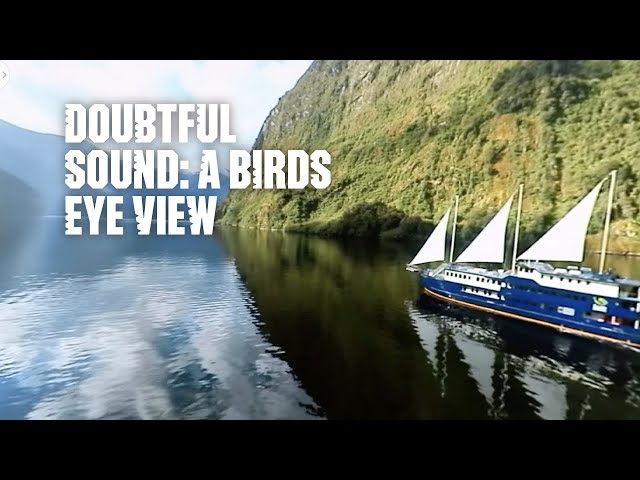 Doubtful Sound, New Zealand in 360: A bird's eye view