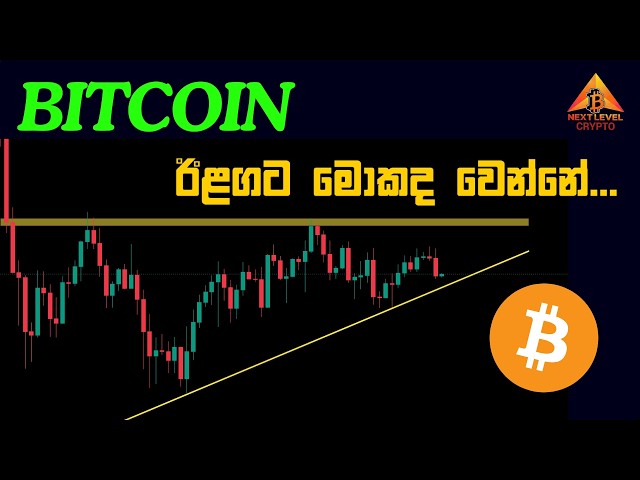 Most Important Update | BTC ETH SOL BNB Update Sinhala