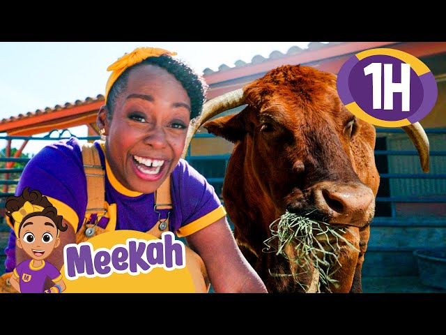 Meekah’s Animal Sanctuary! | Educational Videos for Kids | Blippi and Meekah Kids TV