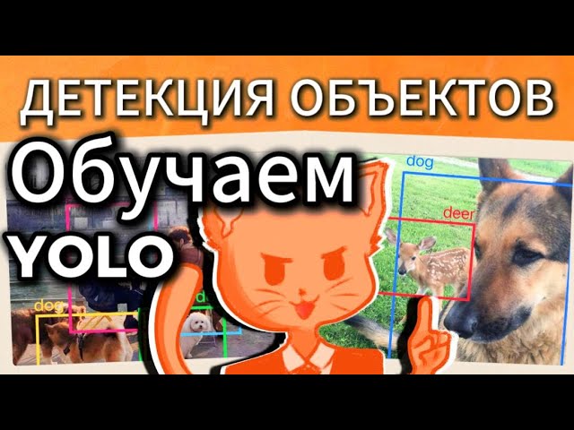 Детекция объектов с YOLO: Полный гайд для новичков | Теория + кодинг
