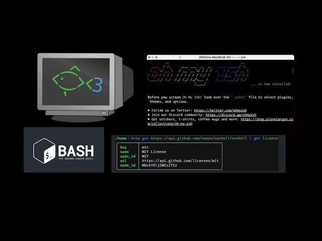 Bash vs zsh vs Fish vs Nu Shell