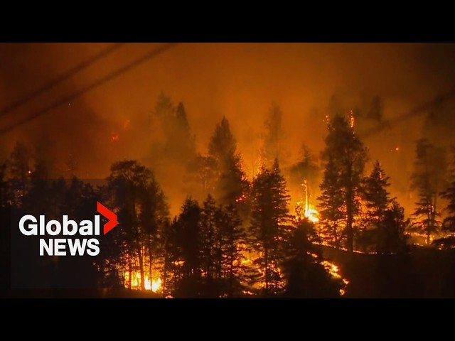 Global National: Aug. 8, 2026 | Explosive wildfire conditions push BC to declare state of emergency