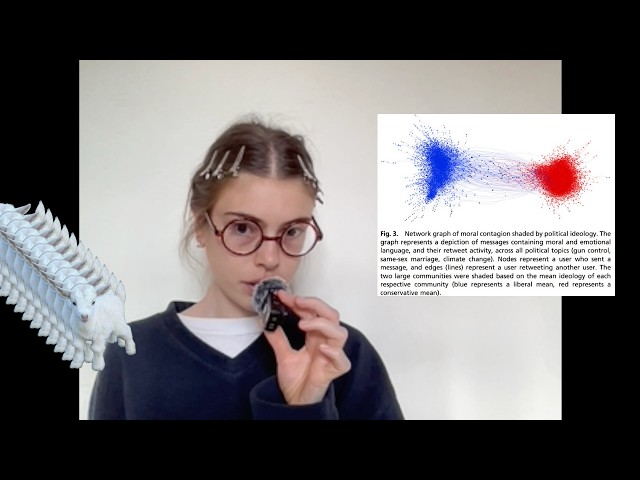 the Whimsy Paradox and Sociolinguistic Collapse
