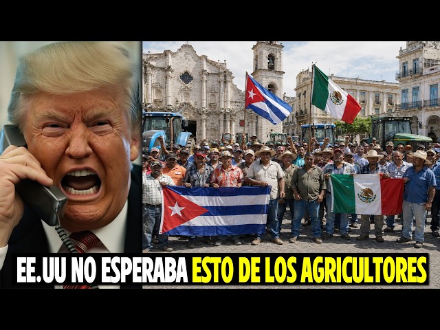 No One Expected Mexican Farmers to Start Cultivating in Cuba...