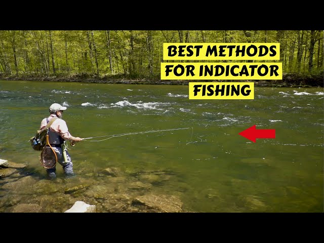 Mejores métodos para la pesca con indicador de truchas | Cómo hacerlo
