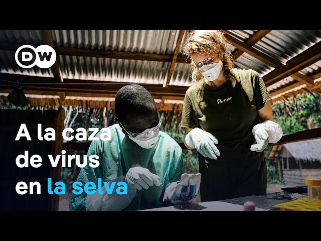 ¿Podemos prevenir nuevas pandemias? | DW Documental