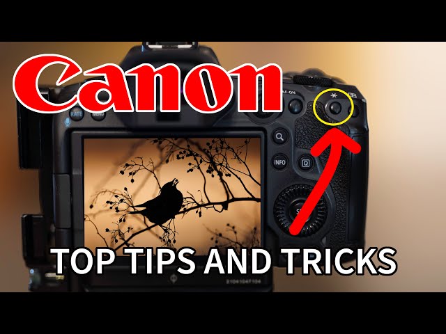 10 BEST EVER CANON TRICKS: Improve your photography with these hacks.