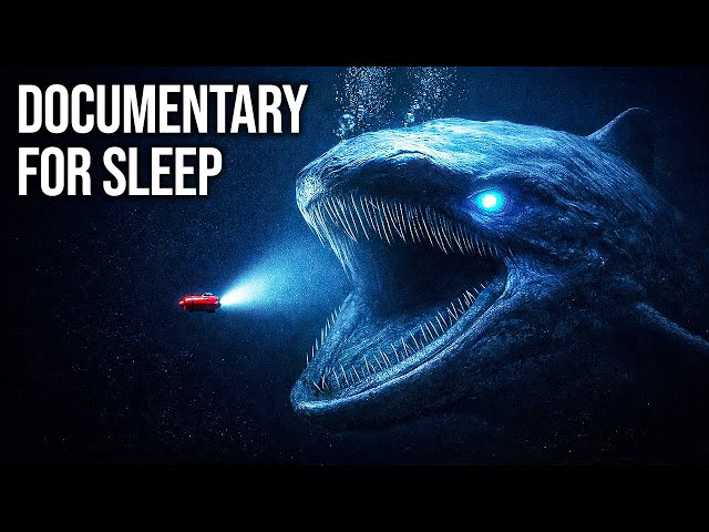 Why the Kermadec Trench Still Terrifies Scientists | Documentary For Sleep