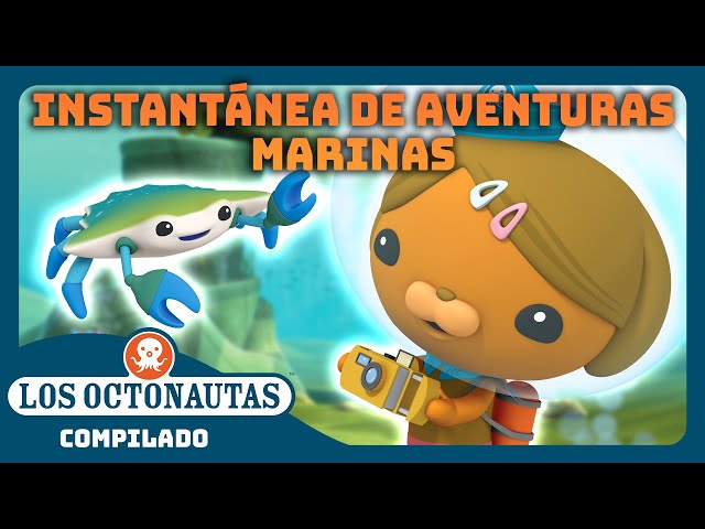 Los Octonautas - 🐶 Instantánea de Dashi de sus aventuras marinas 📸 | Episodios Completos | Compilado