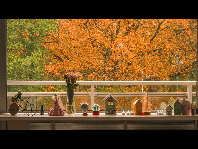 𝗝𝗮𝘇𝘇 𝗣𝗶𝗮𝗻𝗼 l Music that seeps into the changing of the seasons