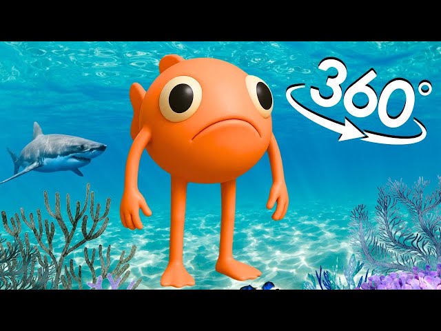 Find le poisson steve - Oceanic in 360° Video | VR