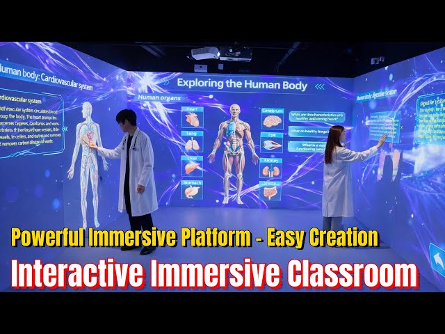 Interactive Teaching Program in Immersive Projector Classrooms: Learning Experiences and Engagement