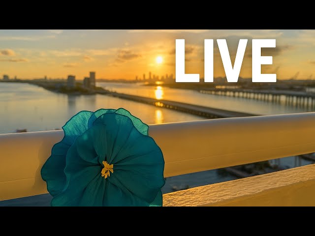 Un pedacito de mi mañana para ti