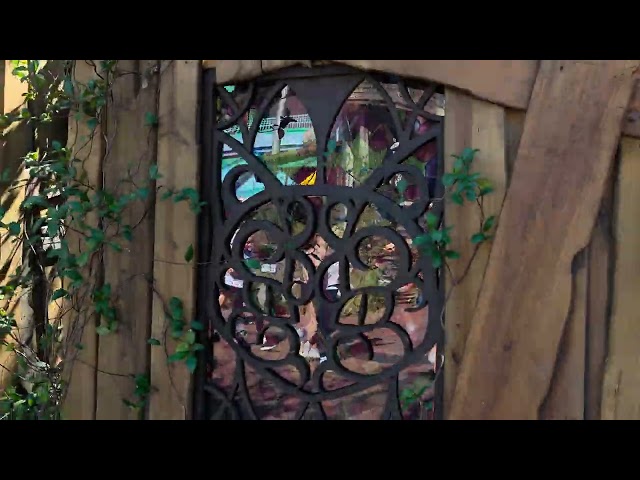 I Went To Visit Trish On Haloween In Florida Part 618