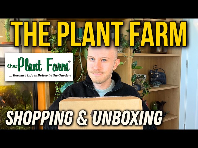 This Online Plant Store Has So Many Fun Houseplants! | The Plant Farm Shopping & Unboxing