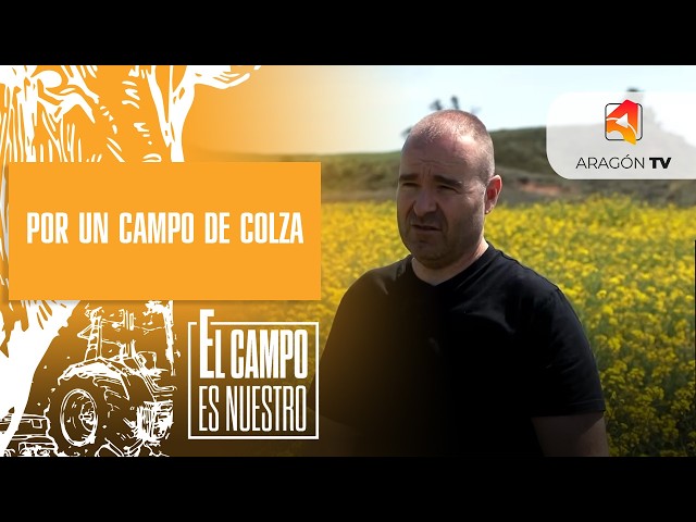 Through a rapeseed field | Miguel Sanmartín