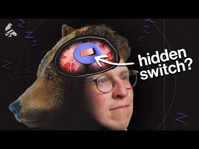 Can humans learn to hibernate?