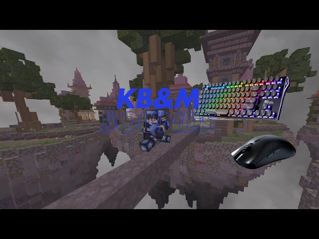 Hive Skywars Prestige 1: Keyboard and Mouse Sounds (Super Satisfying)