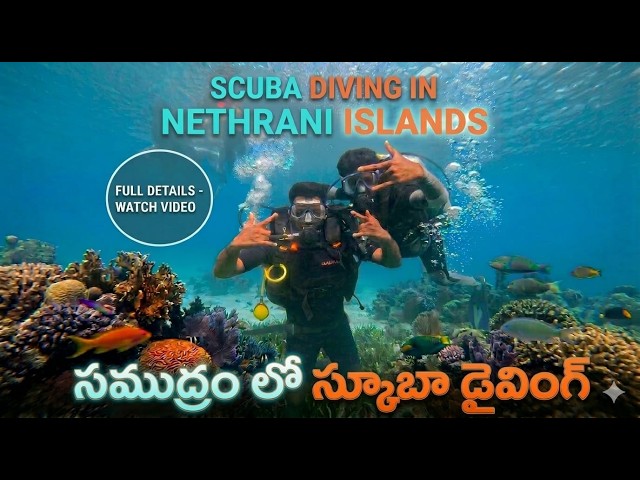 Nethrani Island Scuba Diving: Watch This BEFORE You Go! I Went Scuba Diving for the first time 2026🤿
