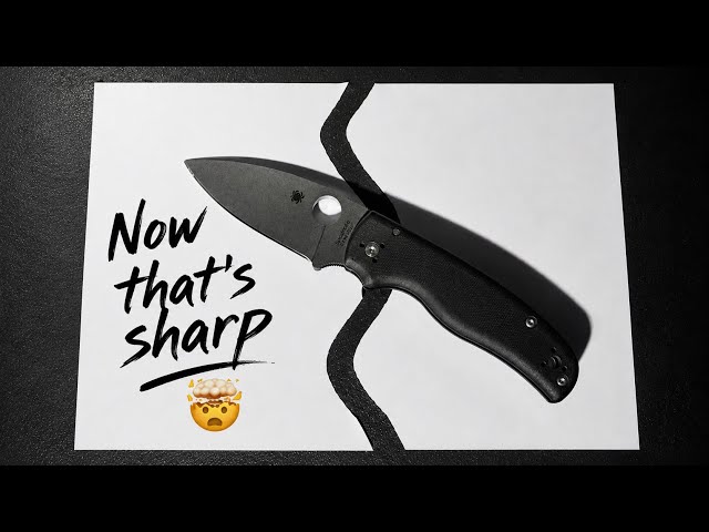 Professional 600 Grit Plain Edge Sharpening Tutorial