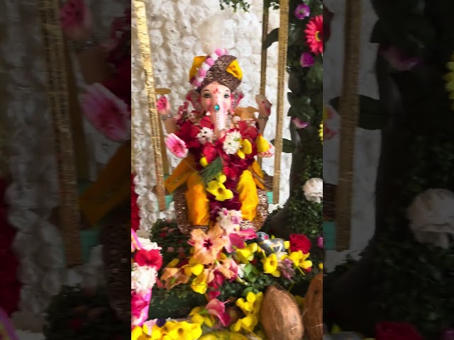 Ganesh🌺🙏 #raigarhcollegeofpharmacy #2023 #ganesha #shorts