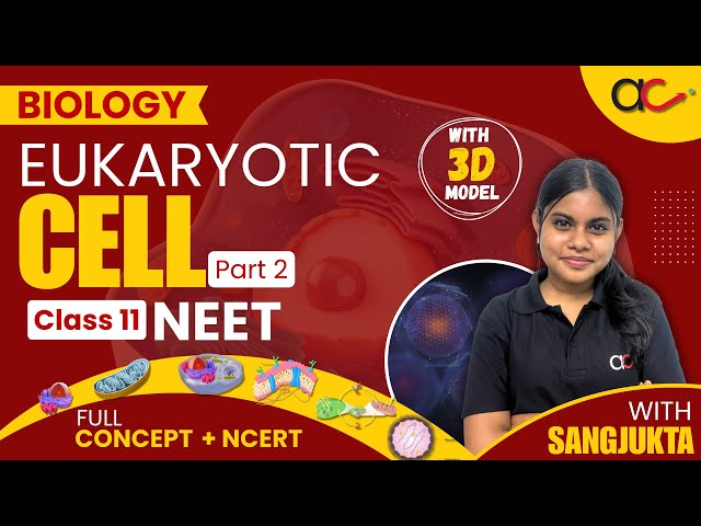  🎯Eukaryotic Cell🔬 | Full Concept(Part 2)✌🏻| Class 11 NEET Biology | NCERT explain💥 | With Sangjukta