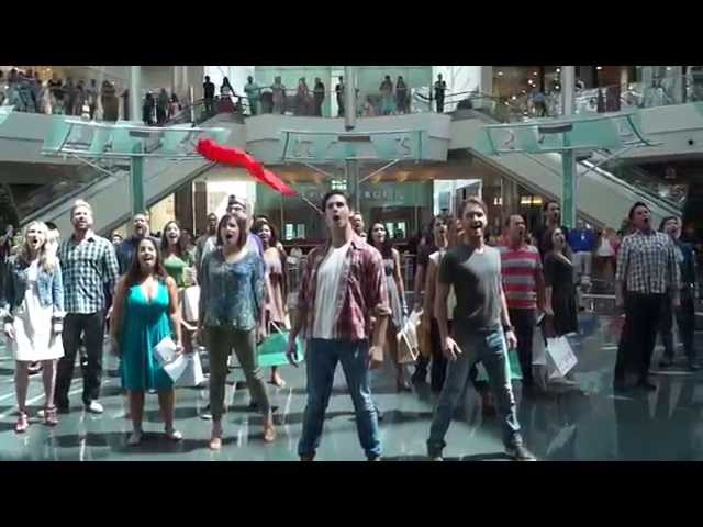 Les Misérables Flash Mob - Orlando Shakespeare Theater