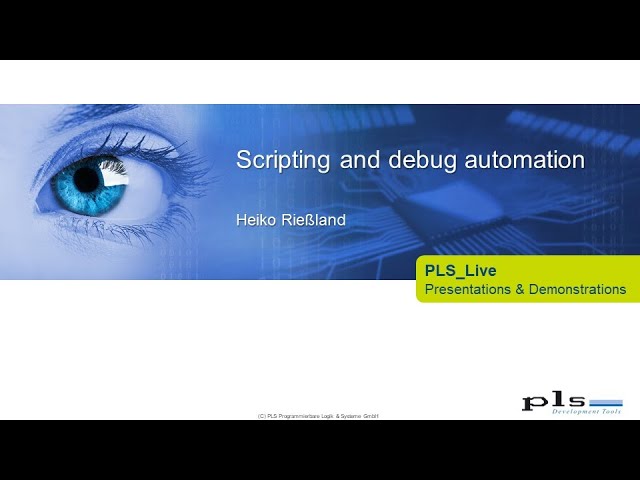 Scripting and debug automation