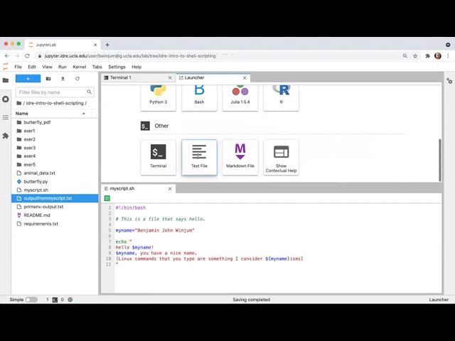 Introduction to the Linux Shell: Shell Scripting