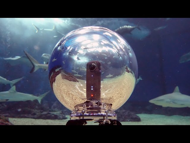 Maui Ocean Center Open Ocean Tank swim about with 360bubble & Ricoh Theta S