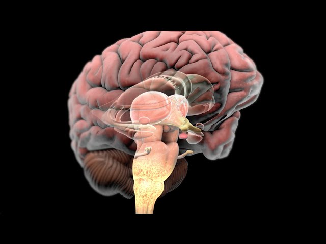 Complex Regional Pain Syndrome (CRPS)