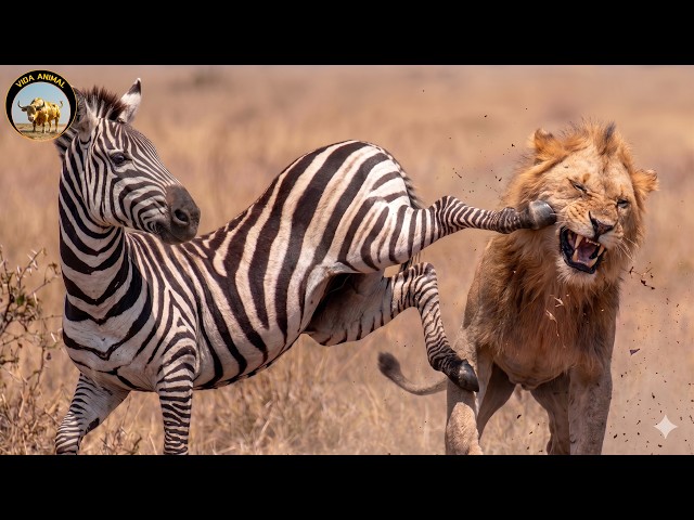 WILD SAVANNA – Where Every Mistake Costs a Life | Wildlife Documentary