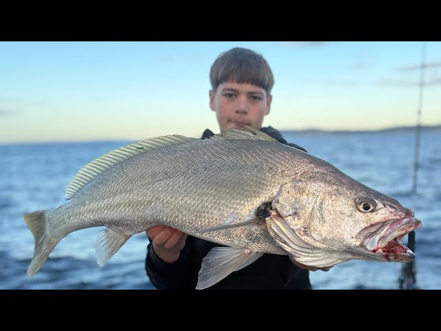 2 DAYS FISHING FOR JEWFISH & KINGFISH SYD