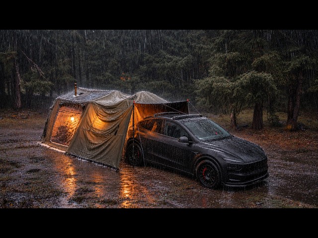 Solo Tesla Camping with My Dog in the RAIN / Coody Air 10 Pro / RockBrook /