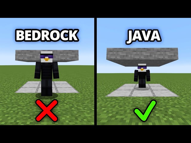 java vs bedrock v5