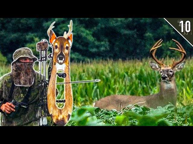 We STALKED a BIG BUCK in the BEANS!!