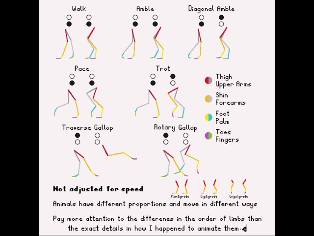 Quadruped Movement Animation Tutorial - Walk, Gallop, Trot, Pace #animation