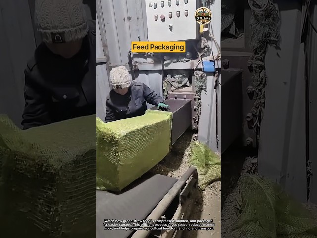 Straw Feed Packaging Machine: Fast Molding & Efficient Storage Process 🌾⚙️
