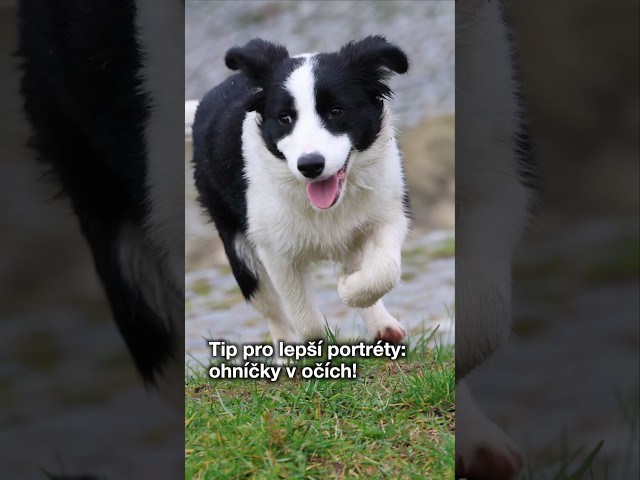 Tohle ti chybí v portrétech: jiskřičky v očích! 👁️✨