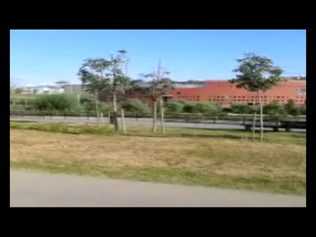 ¡QUITA DEL MEDIO COÑO! | VideoRandom #1
