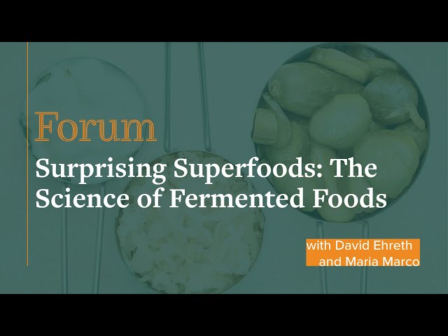 Forum: Surprising Superfoods: The Science of Fermented Foods, March 12, 2019