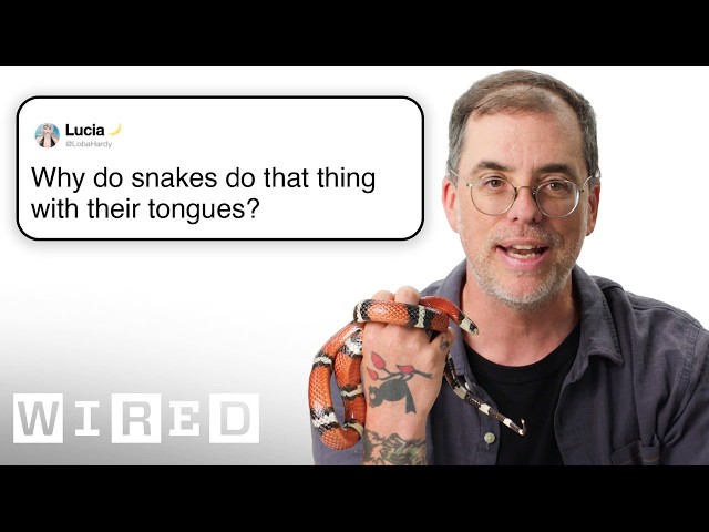 Herpetologist Answers Snake Questions