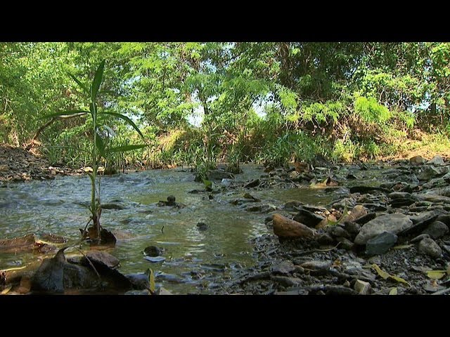 Natural Stream Restoration: Streams in Nature (Part I)