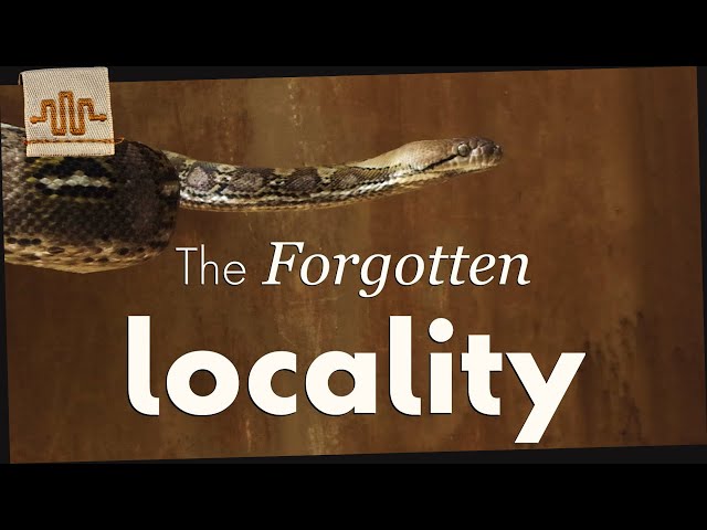 JAMPEA | Locality Spotlight