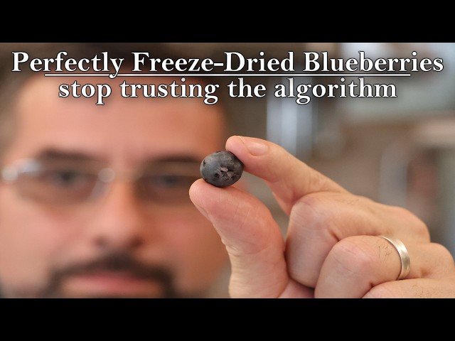 You’re Freeze Drying Blueberries WRONG (Stop Trusting the Algorithm!)
