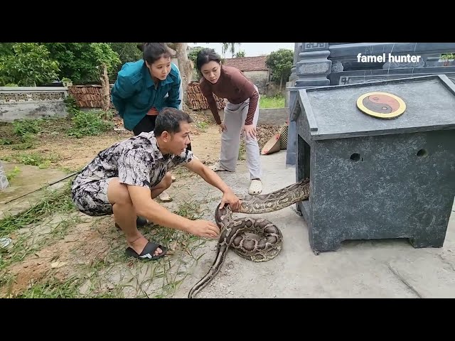Female Hunter Encounters Giant Snake Hunting Prey