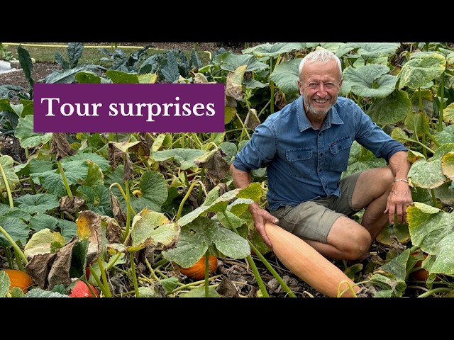 August No Dig Garden Tour – Harvests, Successions & New Plantings at Homeacres