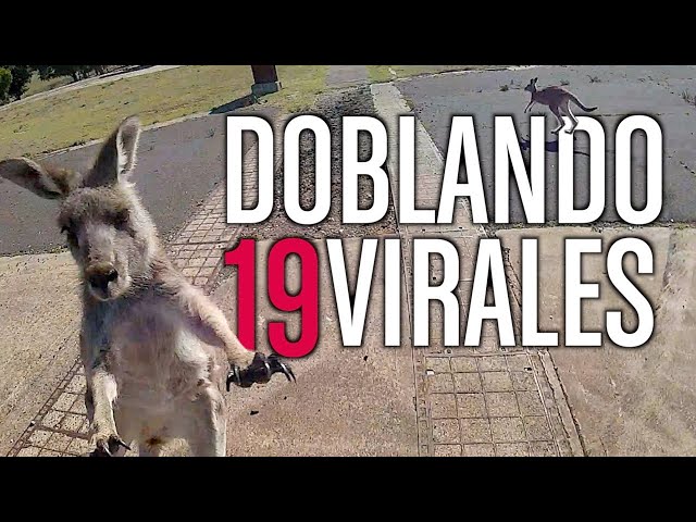 DOUBLING VIRALS 19 *NEW*